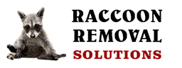 Site logo. A raccoon sitting next to the text Raccoon Removal Solutions